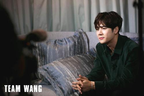 爆料王嘉尔视频大全集,笑点泪点齐飞，精彩瞬间回顾