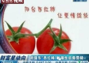 吃瓜营销号娱乐号怎么做,如何玩转娱乐号吸粉攻略